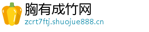 胸有成竹网